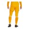 adidas Tiro 25 Pro Torwarthose Orange - orange