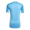 adidas Tiro 25 Pro Torwarttrikot Blau - blau