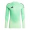 adidas Tiro 25 Pro Torwarttrikot Grün - gruen