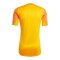adidas Tiro 25 Pro Torwarttrikot Orange - orange