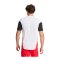 adidas Tiro 25 Pro Trainingshirt Weiss - weiss