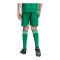 adidas Tiro 26 Competition Short Kids Grün - gruen