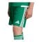 adidas Tiro 26 Competition Short Kids Grün - gruen