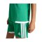 adidas Tiro 26 Competition Trikot Damen Grün - gruen