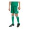 adidas Tiro 26 League Short Kids Grün - gruen