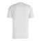 adidas Tiro 26 League Trikot Grau - grau