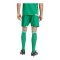 adidas Tiro 26 Short Grün - gruen