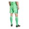 adidas Tiro 26 Torwartshort Grün - gruen