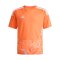 adidas Tiro 26 Torwarttrikot Kids Orange - orange