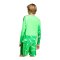 adidas Tiro 26 Torwarttrikot Langarm Kids Grün - gruen