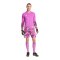 adidas Tiro 26 Torwarttrikot Langarm Rosa - rosa