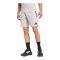 adidas Tiro Travel Woven Short Grau - grau
