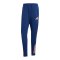 adidas Tiro25 Competition Winterized Hose Blau - blau