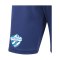 adidas TSV Hartberg Trainingsshort Blau - blau
