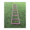 Cawila LIGA Speed 30x40cm Koordinationsleiter Pink F1000706350 - rosa
