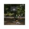 Bucketz All Day Short Schwarz - schwarz