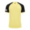 Castore 1. FC Kaiserslautern Trikot 3rd 2026/2027 Gelb - gelb