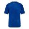 Castore Dinamo Zagreb Trikot Home 2024/2025 Blau F030 - blau