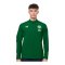 Castore FAI Irland League Matchday Anthem Jacke - gruen