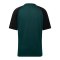 Castore Feyenoord Rotterdam Trainingshirt K F107 - gruen