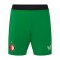 Castore Feyenoord Rotterdam Short 3rd 2024/2025 Grün F101 - gruen