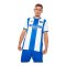 Castore Hertha BSC Berlin Trikot Home 2026/2027 Weiß - weiss
