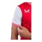 Castore SK Slavia Prag Trikot Home 2025/2026 Weiß - weiss