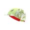 Compressport Pro Racing Cap Grün - gruen