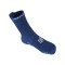 Compressport Pro Racing v4.0 Run High Socken Blau - blau