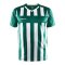 Craft Progress 2.0 Stripe Trikot Grün F651900 - gruen