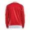 Craft Progress R-Neck Sweatshirt Rot F430900 - rot
