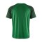 Craft Squad 2.0 Contrast Trikot Grün - gruen