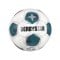 Derbystar Apus APS v26 Spielball Weiß - weiss