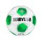 Derbystar Apus TT DB v25 Trainingsball Weiß - weiss