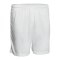 Derbystar Basic Hose Weiss F100 - weiss