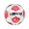 Derbystar Bundesliga Brillant TT v25 Trainingsball Weiß - weiss