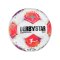 Derbystar Bundesliga Brillant TT v25 Trainingsball Weiß - weiss