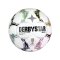 Derbystar DFB-Pokal Brillant APS v26 Spielball Mehrfarbig - mehrfarbig
