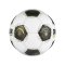 Derbystar ÖFBL Brillant APS v26 Spielball Weiß - weiss