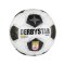 Derbystar ÖFBL Brillant APS v26 Spielball Weiß - weiss