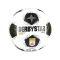 Derbystar ÖFBL Brillant v26 Miniball Weiß - weiss
