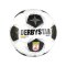 Derbystar ÖFBL Brillant v26 Miniball Weiß - weiss