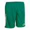 Derbystar Primo Short Grün F410 - gruen