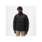 Dickie Dickies Jacke Schwarz - schwarz