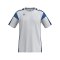 Erima Celebrate 125 Function T-Shirt Weiss - weiss