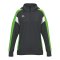 Erima Celebrate 125 Kapuzenjacke Damen Schwarz Fschwarzgreengecko - schwarz