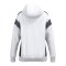 Erima Celebrate 125 Kapuzenjacke Damen Weiss - weiss