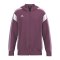 Erima Celebrate 125 Kapuzenjacke Kids Rot Fburgundylavender - rot