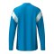 Erima Celebrate 125 Sweatshirt Blau - blau