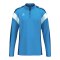 Erima Celebrate 125 Sweatshirt Blau - blau